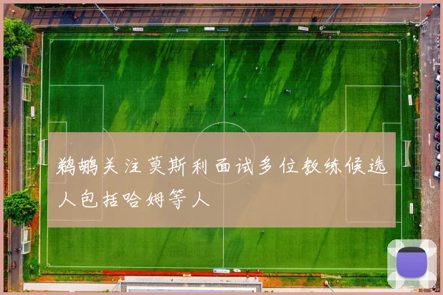 鹈鹕关注莫斯利面试多位教练候选人包括哈姆等人